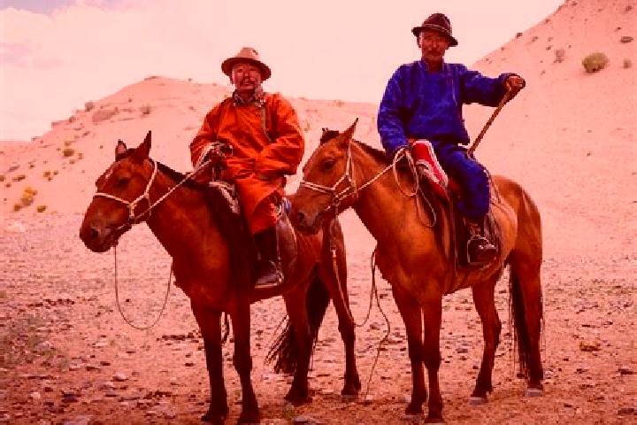 Escorts Arhust, Mongolia — Local Companions