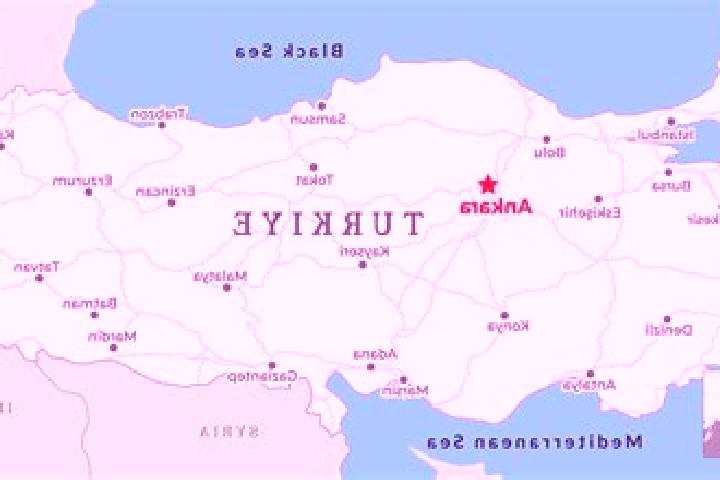 Escorts Arifiye, Turkey — Local Companions