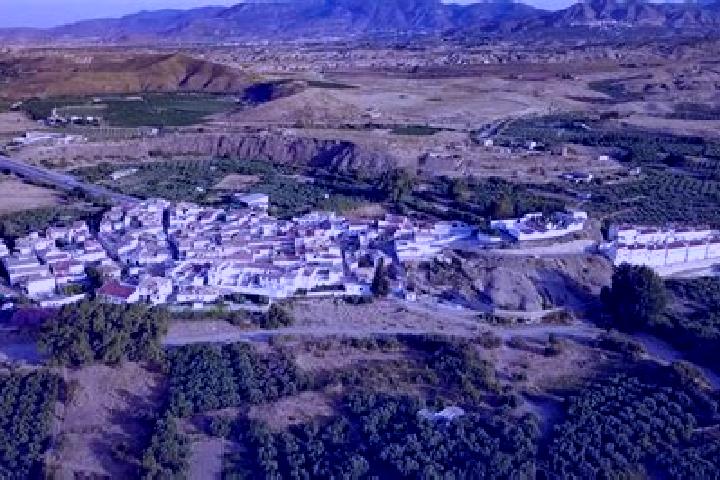 Escorts Armuna de Almanzora, Spain — Local Companions