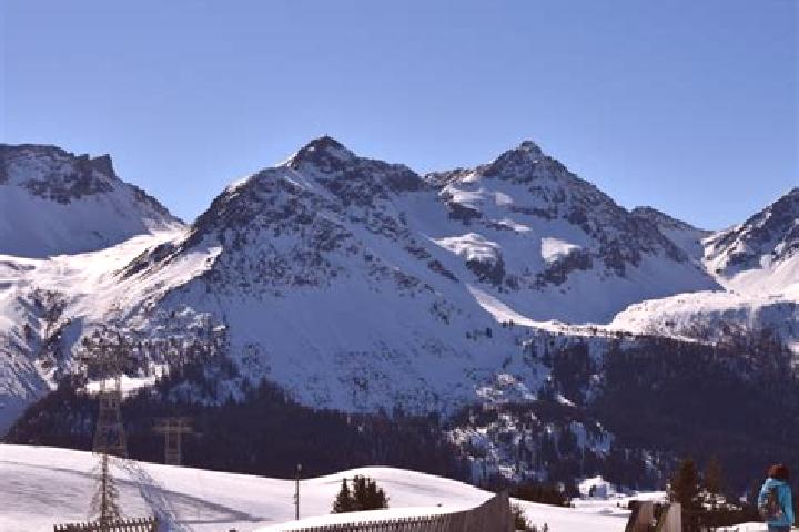 Escorts Arosa, Switzerland — Local Companions