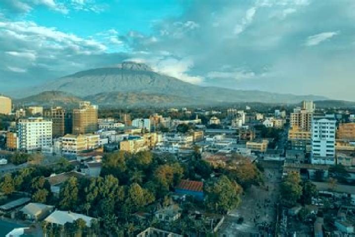 Escorts Arusha, Tanzania — Local Companions