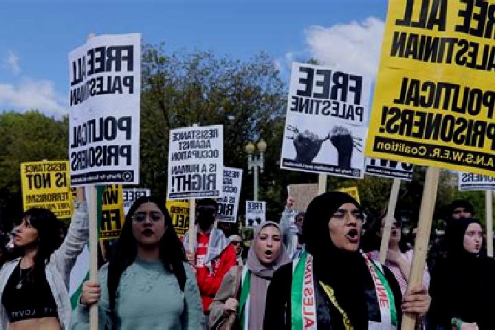 Escorts As Samu , Palestine — Local Companions