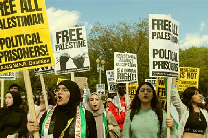 Escorts As Sawiyah, Palestine — Local Companions