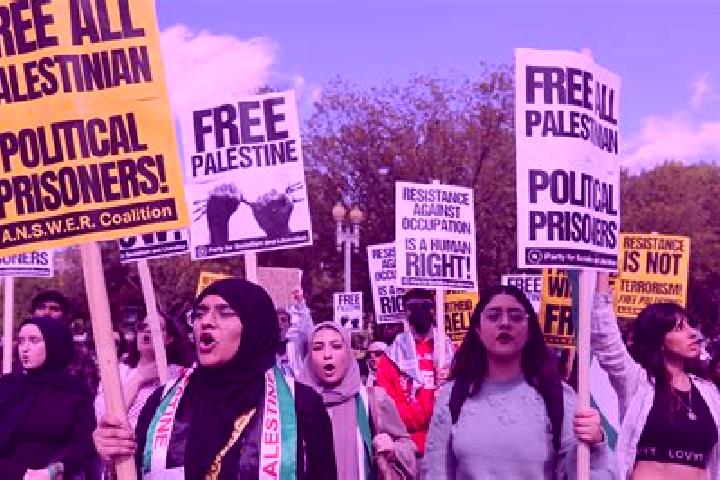 Escorts As Surrah, Palestine — Local Companions