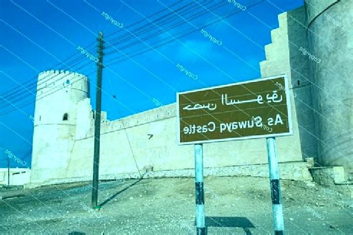 Escorts As Suwayq, Oman — Local Companions