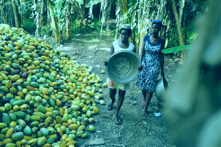 Escorts Assin Foso, Ghana — Local Companions