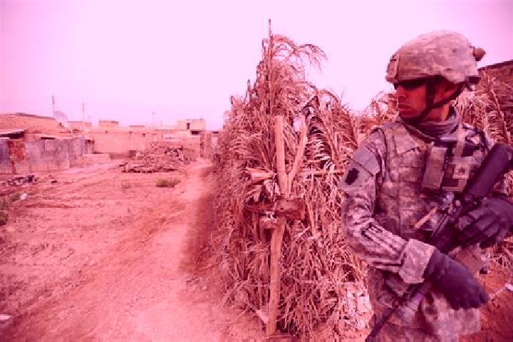 Escorts At Tarmiyah, Iraq — Local Companions