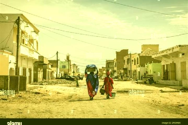 Escorts Atar, Mauritania — Local Companions