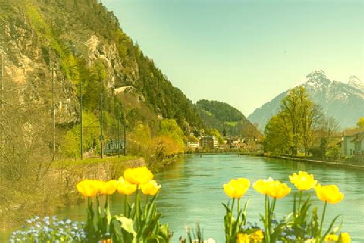 Escorts Au, Switzerland — Local Companions
