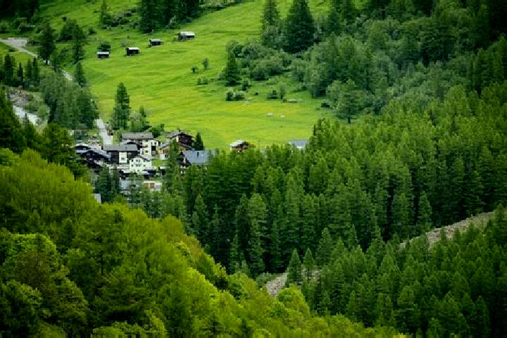 Escorts Au / Unter-Dorf, Switzerland — Local Companions