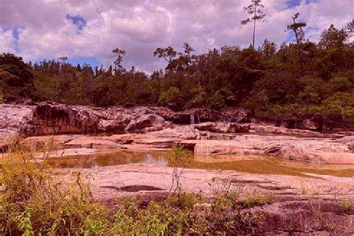 Escorts August Pine Ridge, Belize — Local Companions