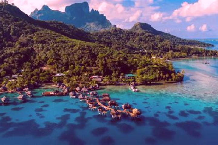 Escorts Avera, French Polynesia — Local Companions