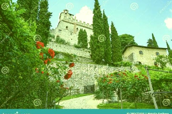 Escorts Avio, Italy — Local Companions