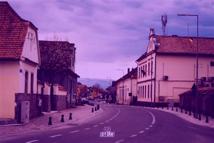 Escorts Avrig, Romania — Local Companions