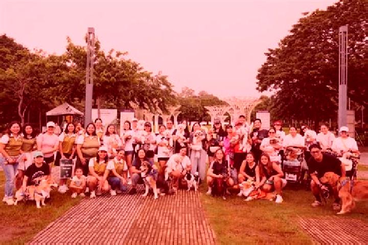 Escorts Ayala Alabang, Philippines — Local Companions