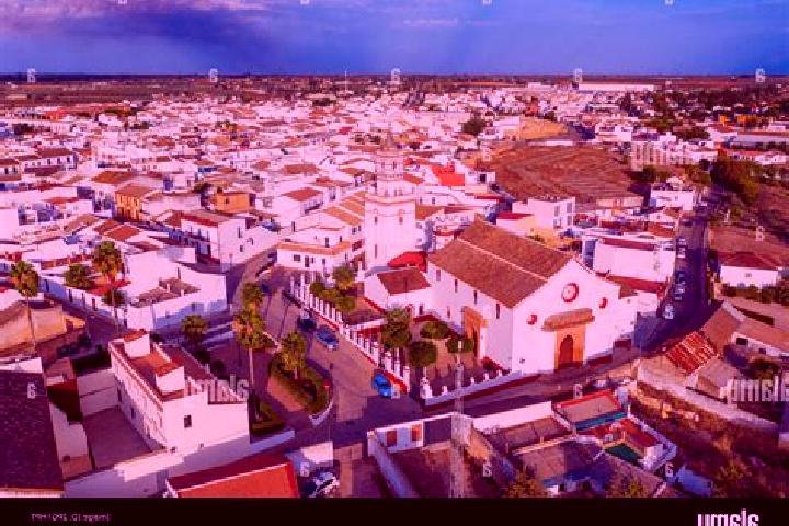 Escorts Aznalcazar, Spain — Local Companions