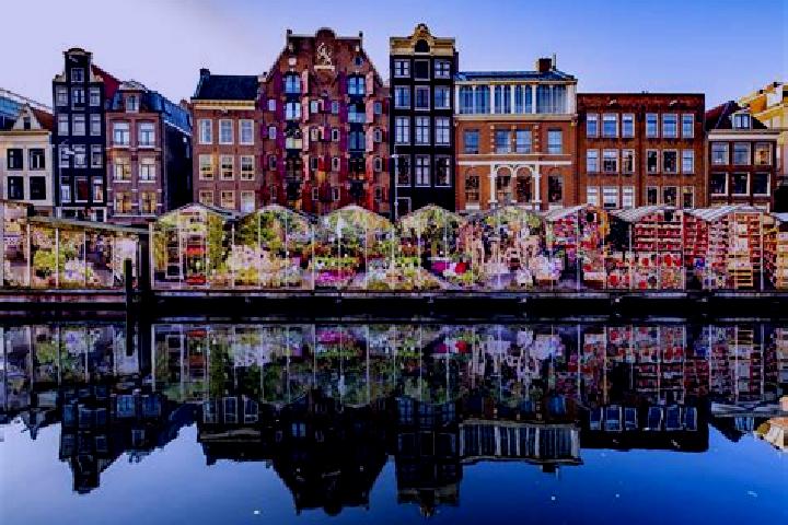 Escorts Baardwijk, Netherlands — Local Companions