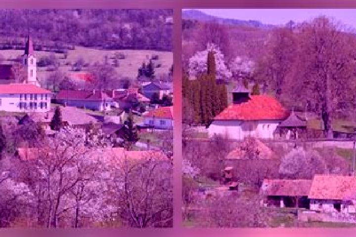 Escorts Babindol, Slovakia — Local Companions