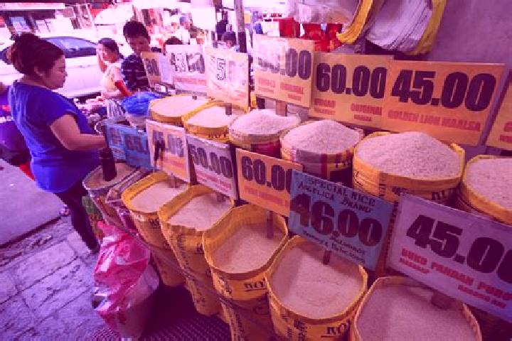 Escorts Bacayawan, Philippines — Local Companions