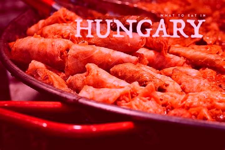 Escorts Bacsborsod, Hungary — Local Companions