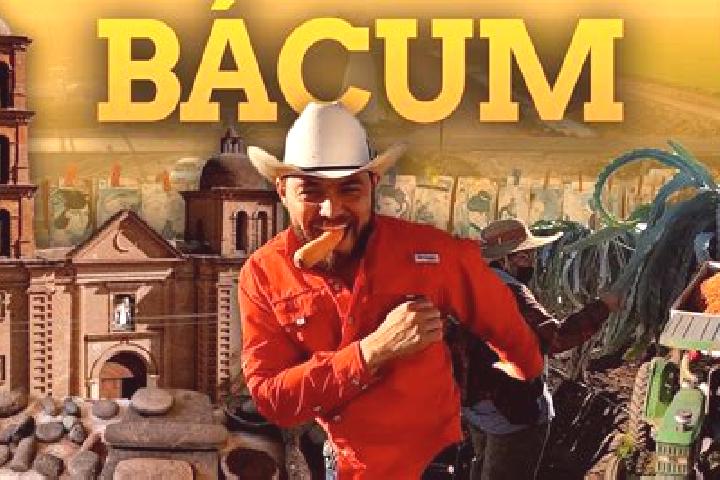 Escorts Bacum, Mexico — Local Companions
