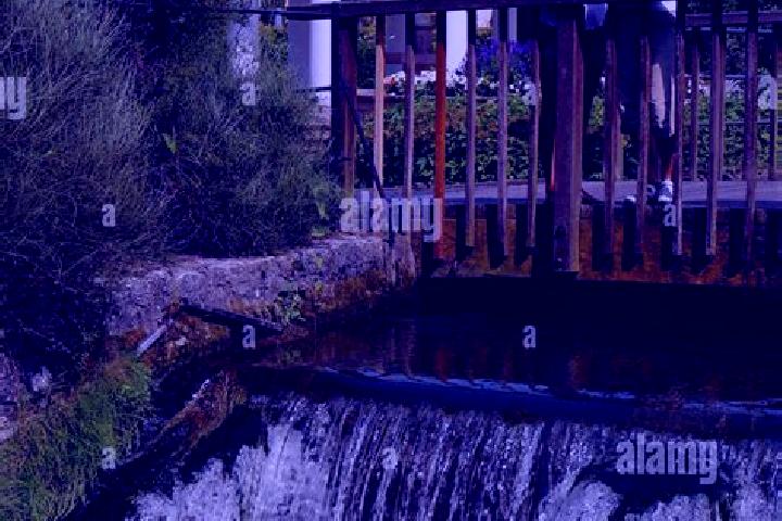 Escorts Bad Lippspringe, Germany — Local Companions