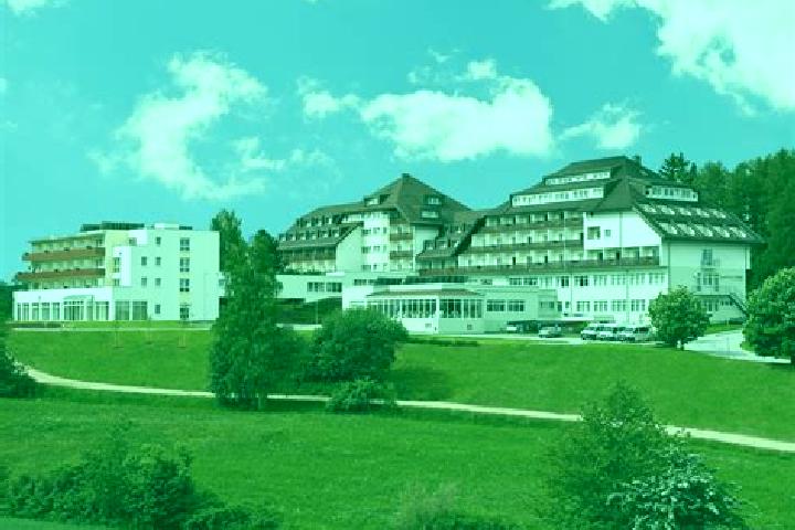 Escorts Bad Sauerbrunn, Austria — Local Companions