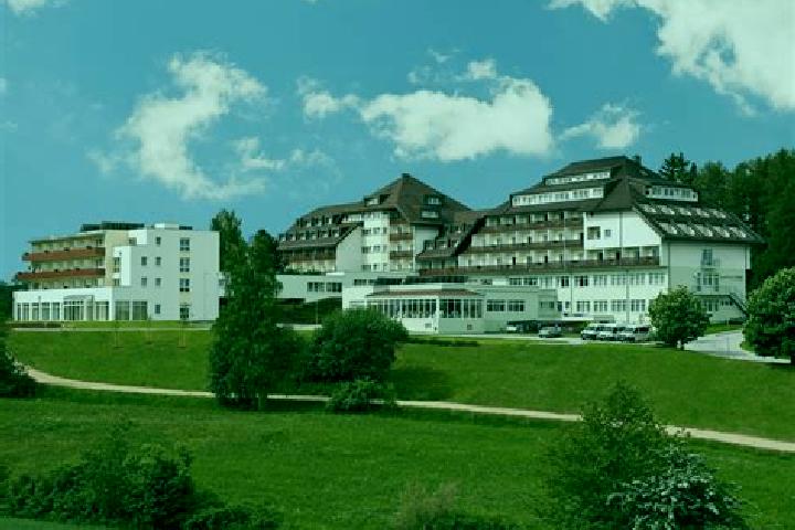 Escorts Bad Schoenau, Austria — Local Companions