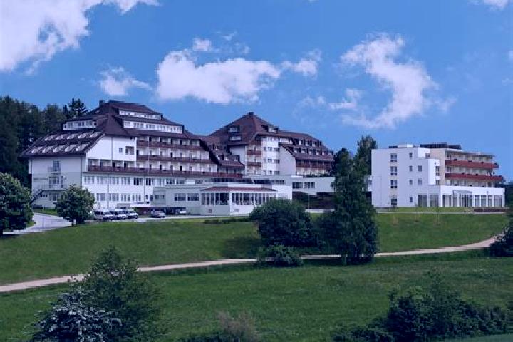 Escorts Bad Vigaun, Austria — Local Companions
