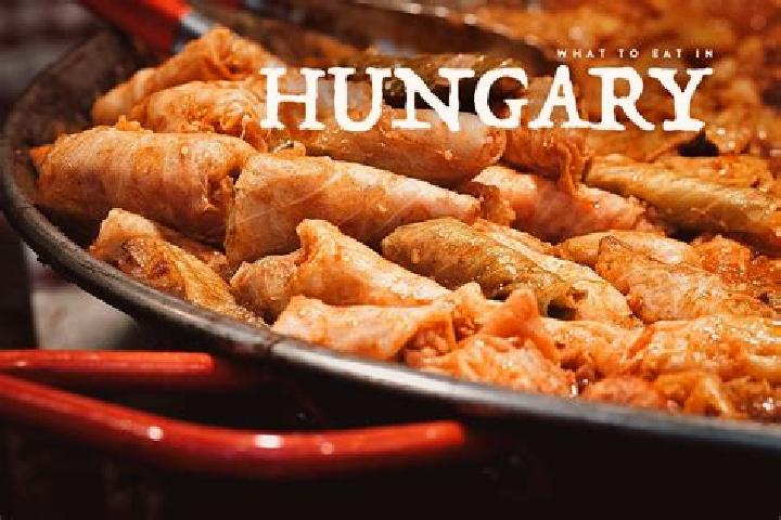 Escorts Badacsonytoerdemic, Hungary — Local Companions