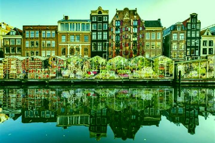 Escorts Baflo, Netherlands — Local Companions