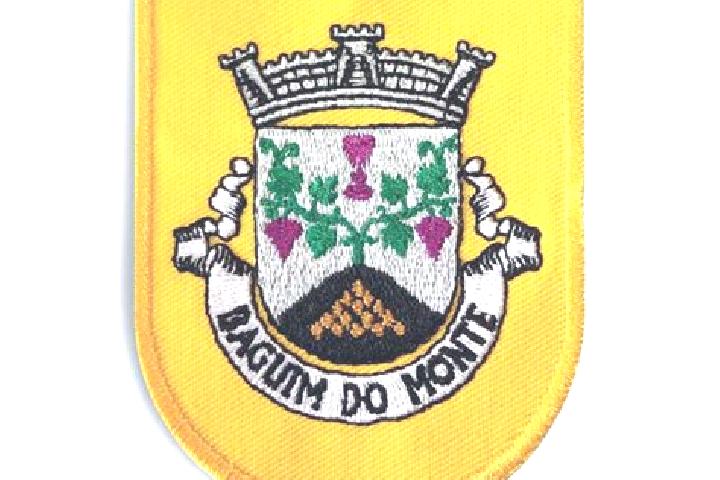 Escorts Baguim do Monte, Portugal — Local Companions