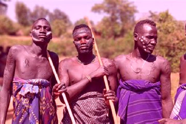 Escorts Bako, Ethiopia — Local Companions