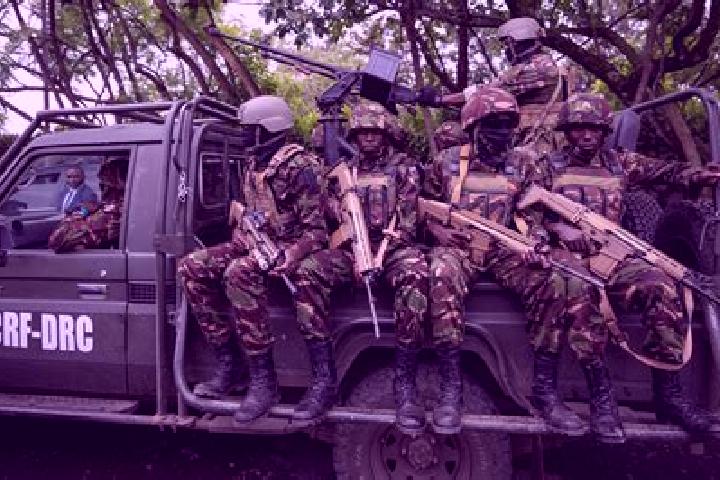 Escorts Bakwa, DR Congo — Local Companions