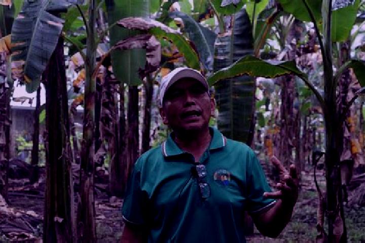 Escorts Balangbalang, Philippines — Local Companions