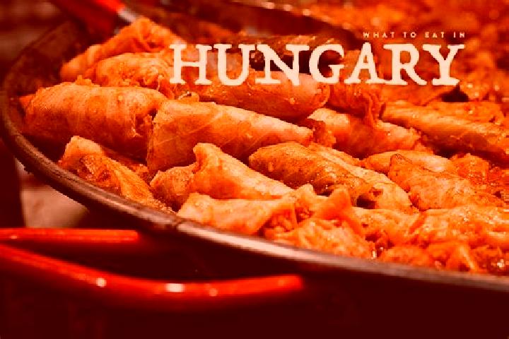 Escorts Balastya, Hungary — Local Companions