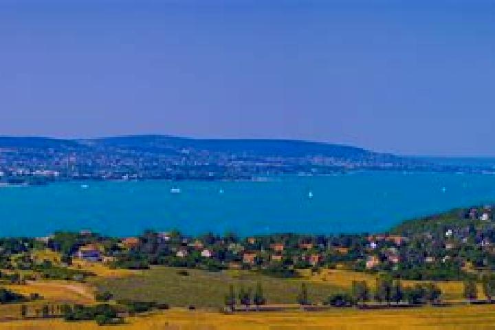 Escorts Balatonlelle, Hungary — Local Companions