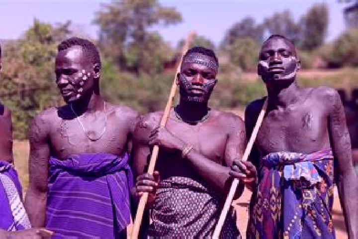 Escorts Bale Hawassa, Ethiopia — Local Companions