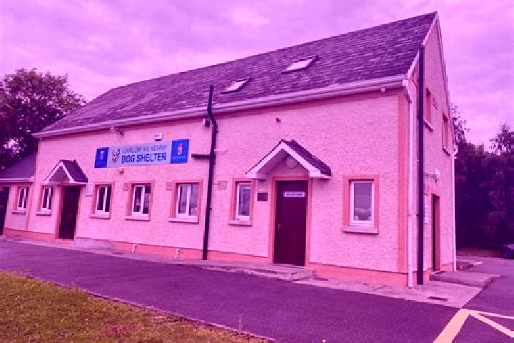 Escorts Ballinroad, Ireland — Local Companions