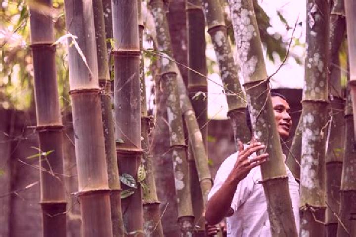 Escorts Bamboo Flat, India — Local Companions