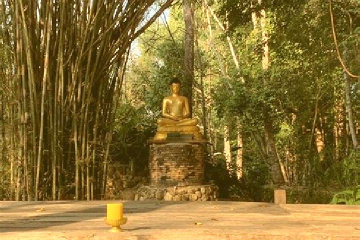 Escorts Ban Pa Pae, Thailand — Local Companions