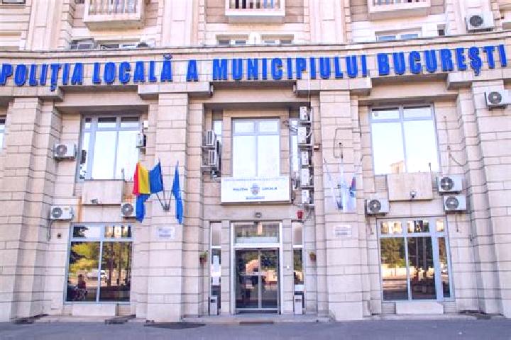 Escorts Banisor, Romania — Local Companions