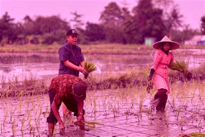 Escorts Banjar Jabon, Indonesia — Local Companions