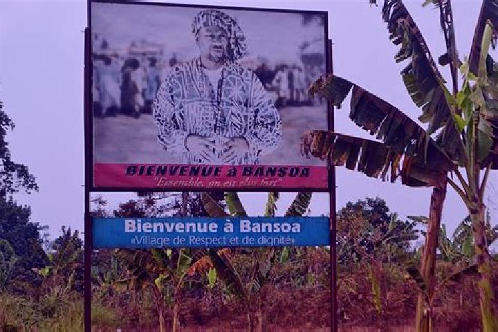Escorts Bansoa, Cameroon — Local Companions