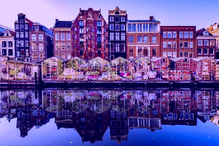 Escorts Bant, Netherlands — Local Companions