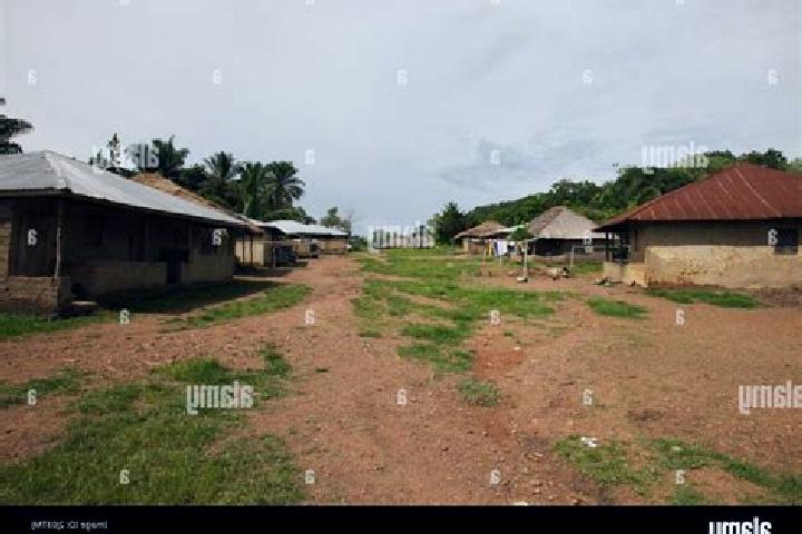 Escorts Baoma, Sierra Leone — Local Companions