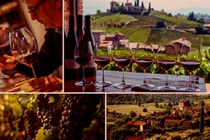 Escorts Barbaresco, Italy — Local Companions