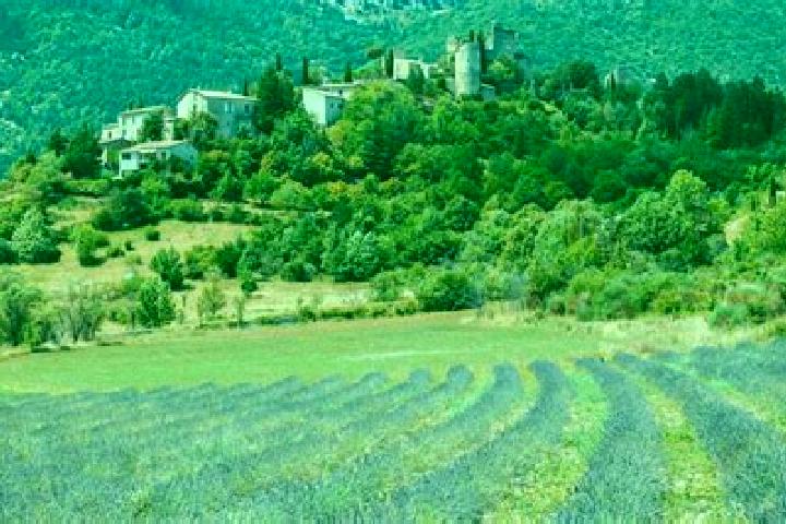 Escorts Barcelonnette, France — Local Companions