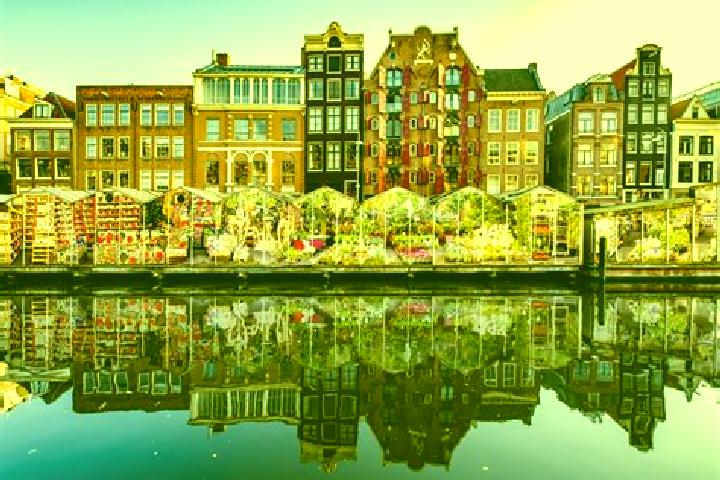 Escorts Barchem, Netherlands — Local Companions