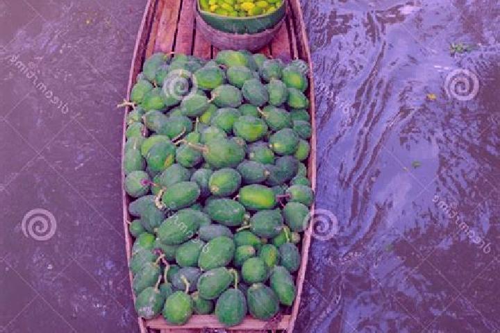 Escorts Barishal, Bangladesh — Local Companions